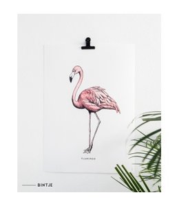 POSTER FLAMINGO