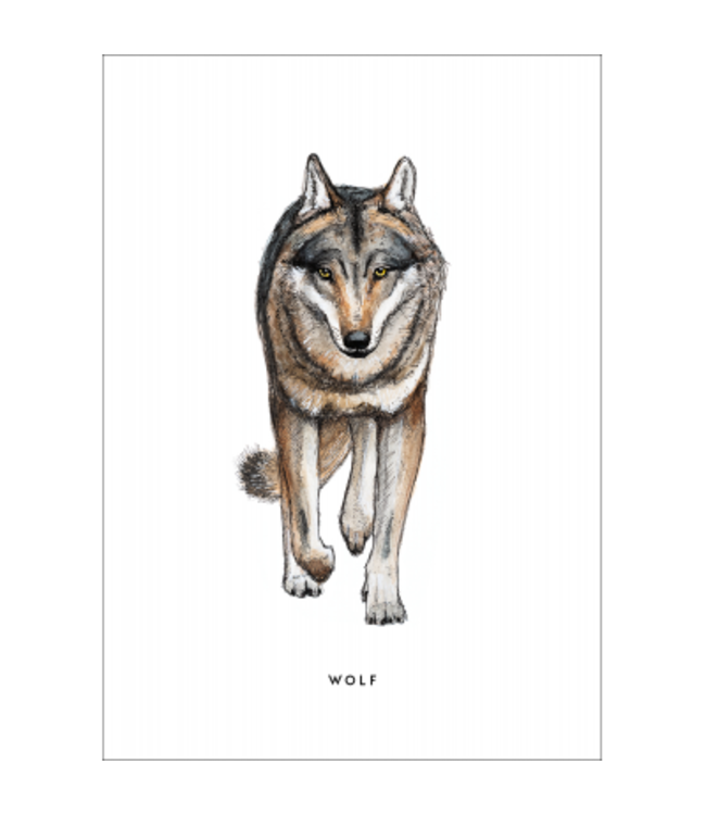 BINTJE POSTCARD A6 WOLF