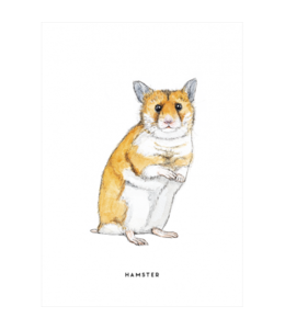 BINTJE POSTCARD A6 HAMSTER