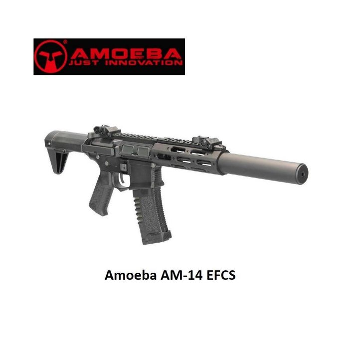 Amoeba AM-014 EFCS