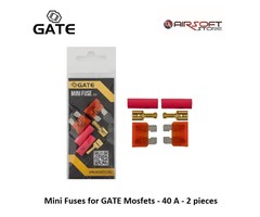 Gate Mini fusibles pour Mosfets GATE - 40 A - 2 pièces