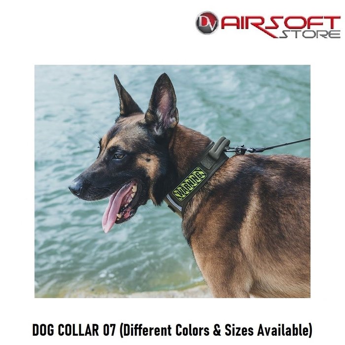 One Tigris DOG COLLAR 07