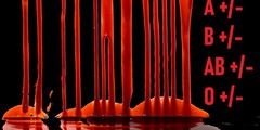 BLOODTYPE PATCHES