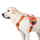 SAR K9 Dog Harness