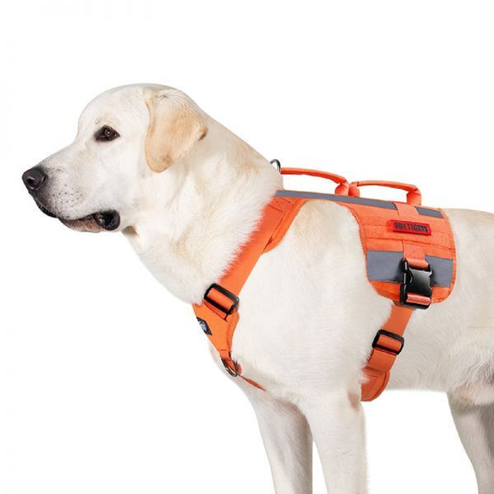 One Tigris SAR K9 Dog Harness