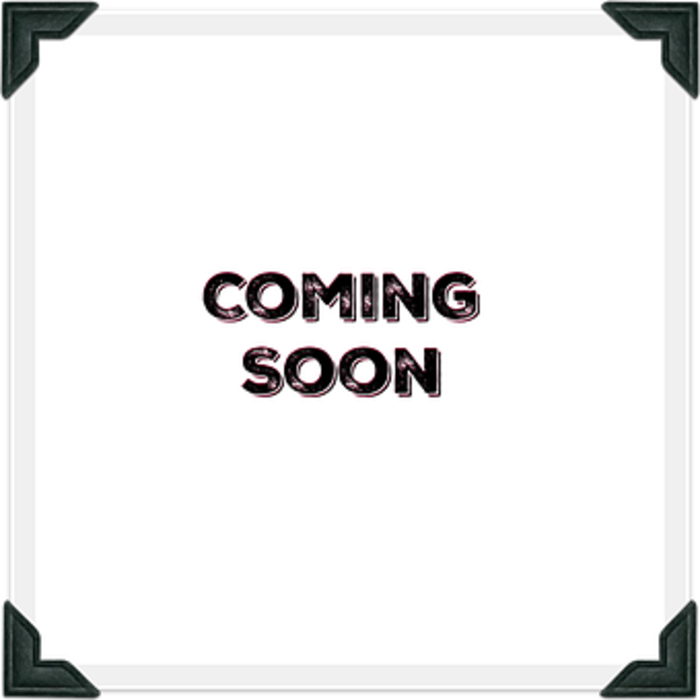 Ra-Tech Scar-L steel complete Bolt Carrier with magnetic locking NPS Aluminum loading nozzle