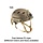 FAST Helmet PJ TAN