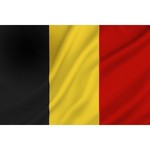 Belgische vlag - 30 x 45 cm