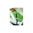 Boatbuckle BoatBuckle Pro Series Bow Tie-Down 90 cm met Kwik-Lok gesp.