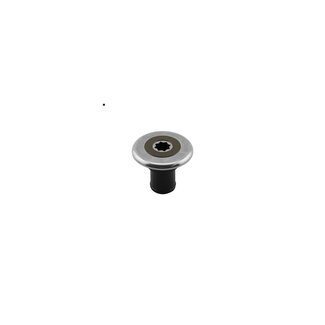 INOX Dekvuldop 38mm, vuil water