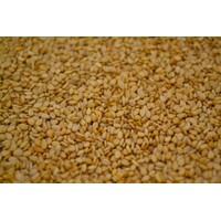 Sesame seeds - dried (300g)