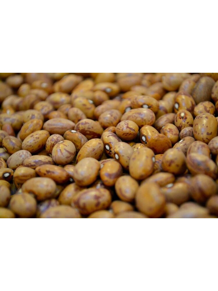 mmm... Borlotti beans -  dried (350g)