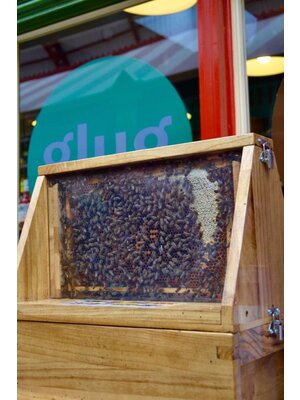 Hogarth Honey Hogarth Spring Flower Honey (340g)