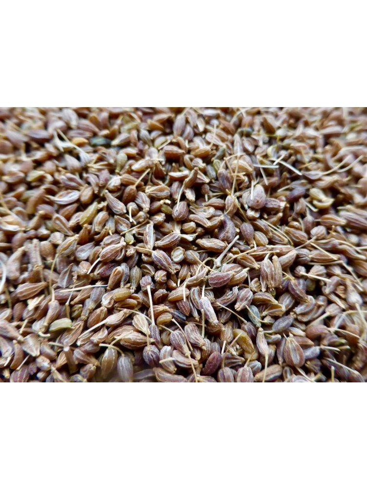 mmm... Aniseed - whole (40g)