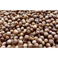 Coriander seed (25g)
