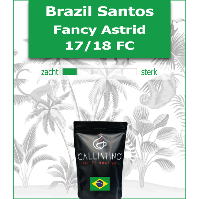 Brazil Santos Fancy Astrid NY 2 17/18 FC