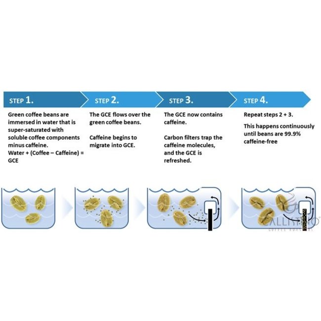 Decafeïné Swiss Water Process - Brasil Santos