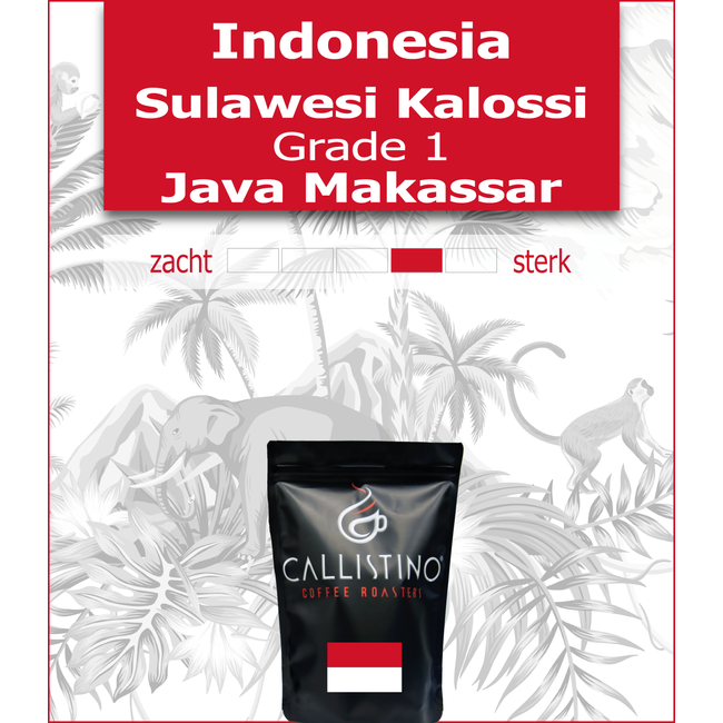 Indonesia Sulawesi Kalossi Gr1 - Java Makassar