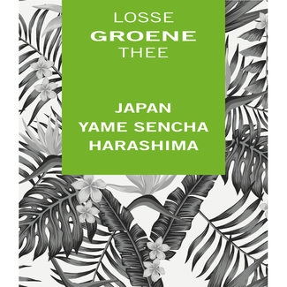 Japan Yame Sencha Harashima