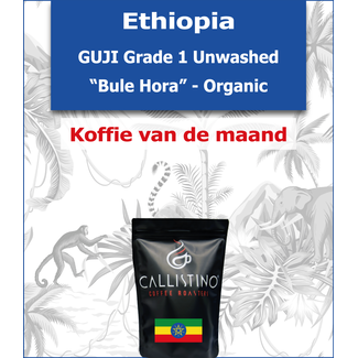 Ethiopia - Guji Unwashed - "Bule Hora" Organic