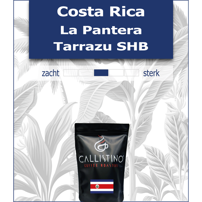 Geschenkmand 'The Magic 7 Coffees'