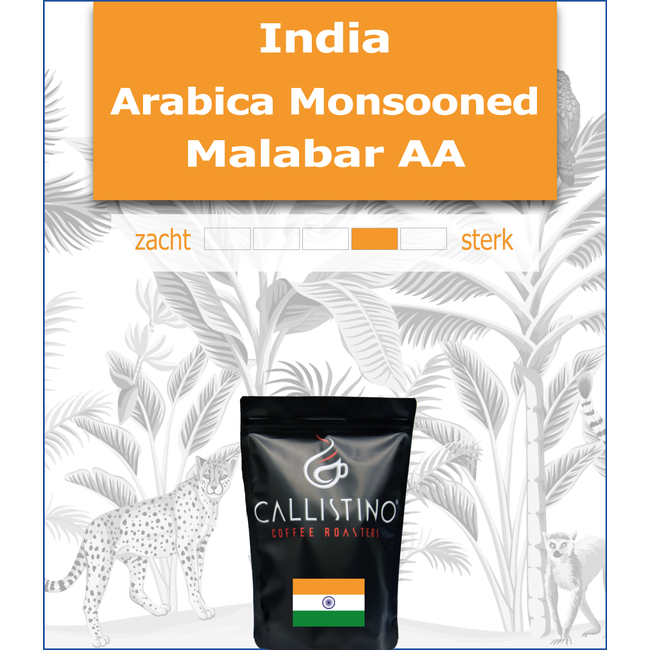 India - Arabica Monsooned - Malabar AA