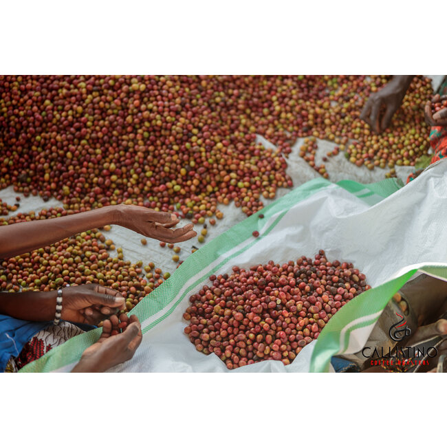 Burundi Mpanga Kayanza Province