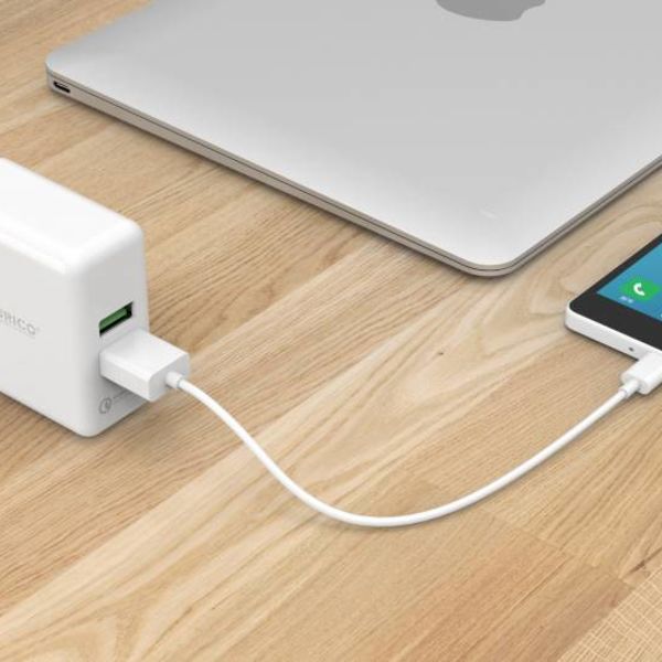 Orico Duo chargeur Turbo USB avec Qualcomm charge rapide 2.0 - chargeur à domicile 2 port QC2.0 36W, 12V / 9V / 5V Blanc