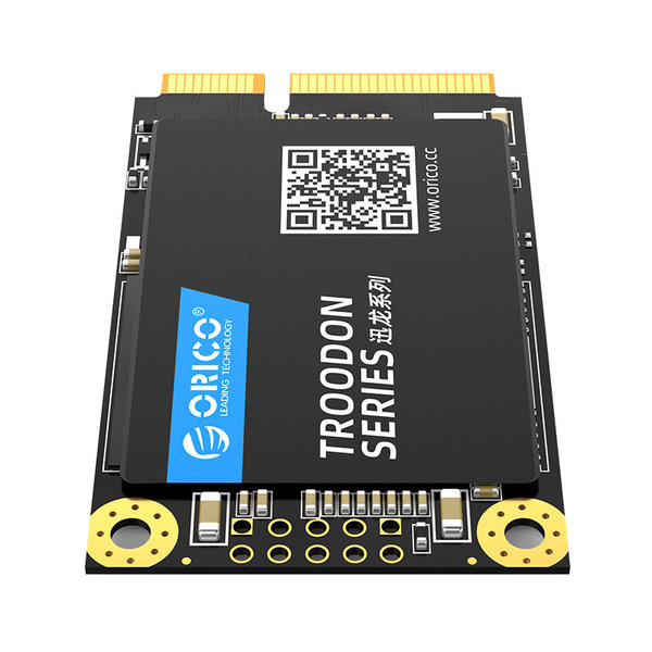 Orico mSATA internal SSD 128GB - Troodon series - 3D NAND flash - Black