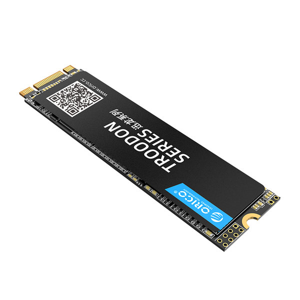 Orico M.2 interne SSD 2280 - 128 GB - Troodon-Serie - 3D-NAND-Blitz - Schwarz