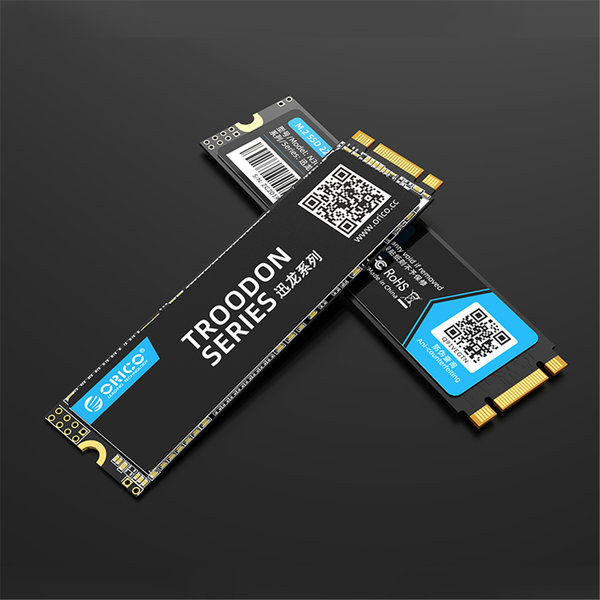 Orico SSD interne M.2 2280 - 128 Go - Série Troodon - Flash NAND 3D - Noir