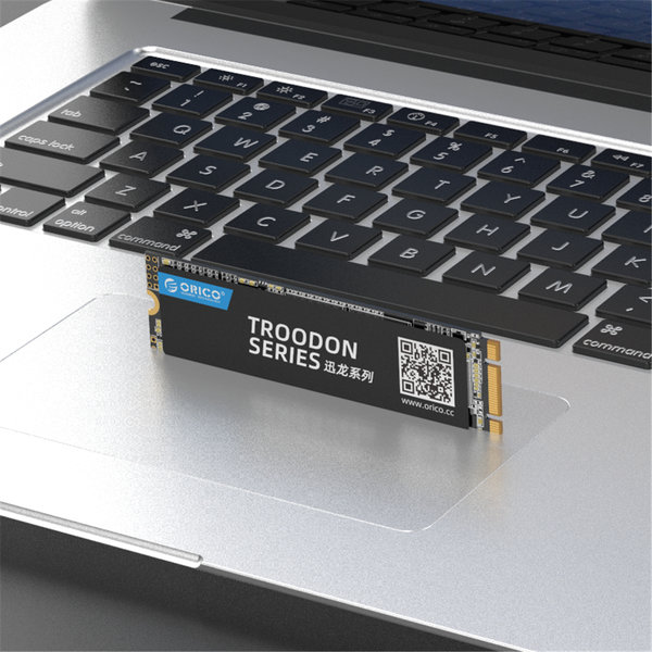 Orico M.2 interne SSD 2280 - 256GB - Troodon serie - 3D NAND flash - Zwart