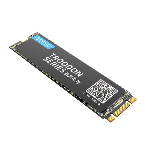Orico M.2 internal SSD 2280 - 512GB - Troodon series - 3D NAND flash - Black