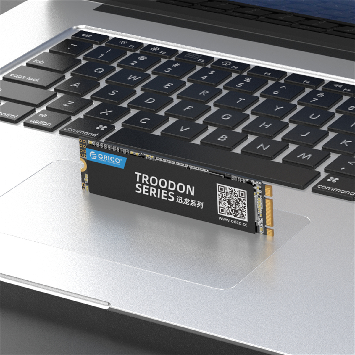 SSD interne 2,5 pouces 1 To - Série Troodon - Flash NAND 3D - Gris ciel