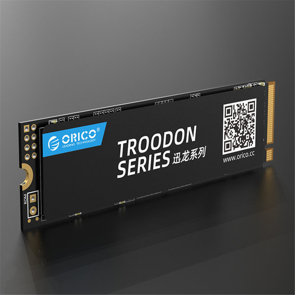 Orico M.2 NVMe interne SSD 2280 - 256 GB - Troodon-Serie - 3D-NAND-Blitz - Schwarz