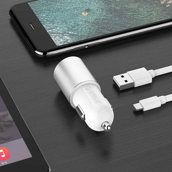 Orico Autoladegerät mit USB-C- und USB-A-Anschlüssen - Aluminium - 12V / 24V - 5V-3.1A - Silber
