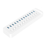 USB 3.0 hub with 13 ports - BC 1.2 - on / off switches - 60W - white