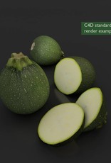 3D model round courgette - zucchini