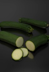 3D model  courgette - zucchini