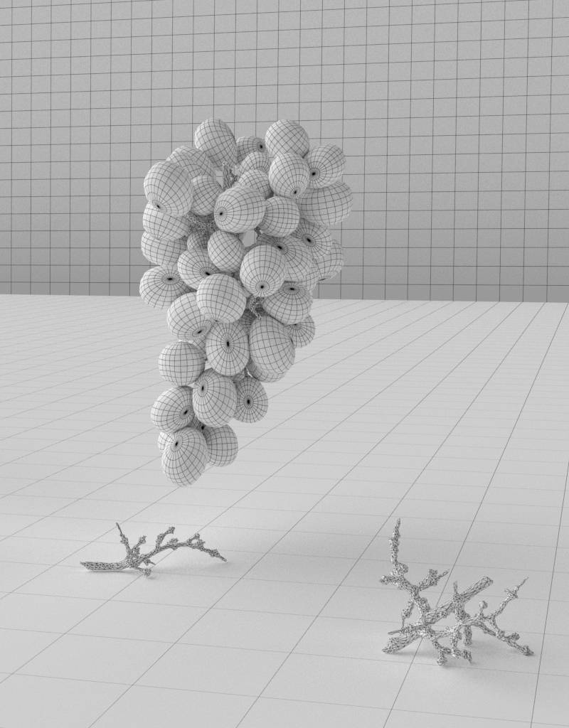 3D model  white grapes