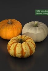 3D model pumpkin