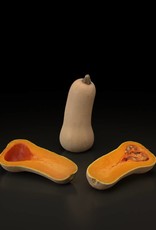 3D model Butternut pumpkin-squash