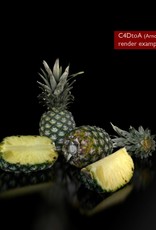 3D model pineapple