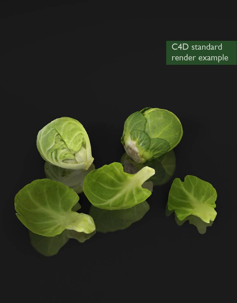 3D model Brussels sprouts