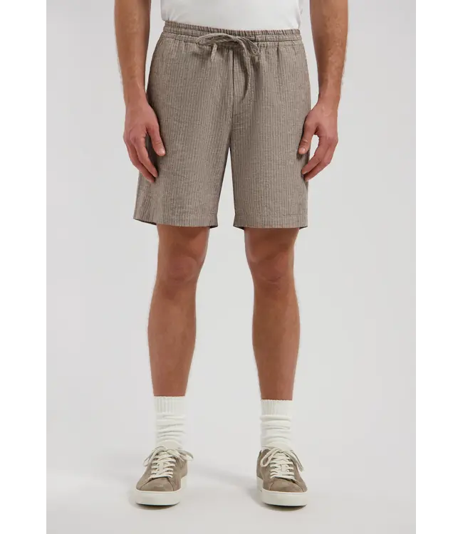 Dstrezzed short pinstripe l. bruin 515600