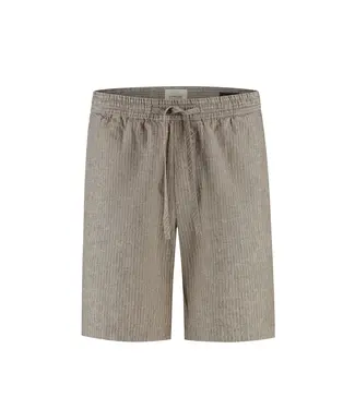 Dstrezzed short pinstripe l. bruin