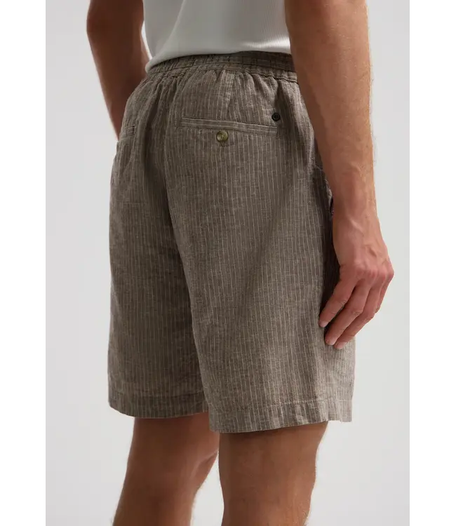 Dstrezzed short pinstripe l. bruin 515600