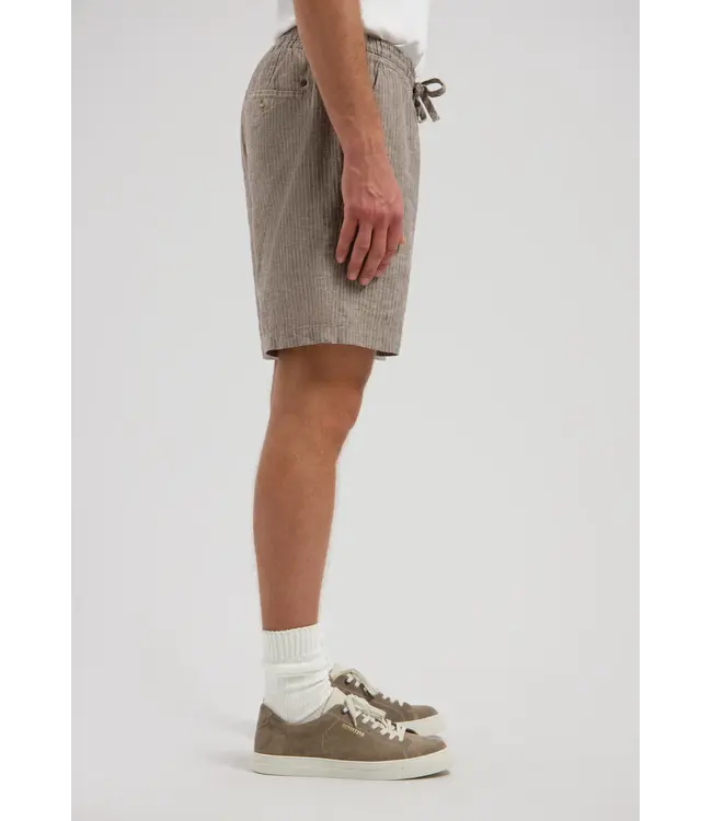 Dstrezzed short pinstripe l. bruin 515600