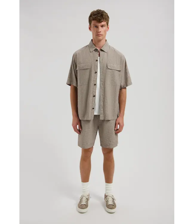 Dstrezzed shirt pinstripe l. bruin 311521