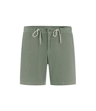 Dstrezzed beach short logan d. groen